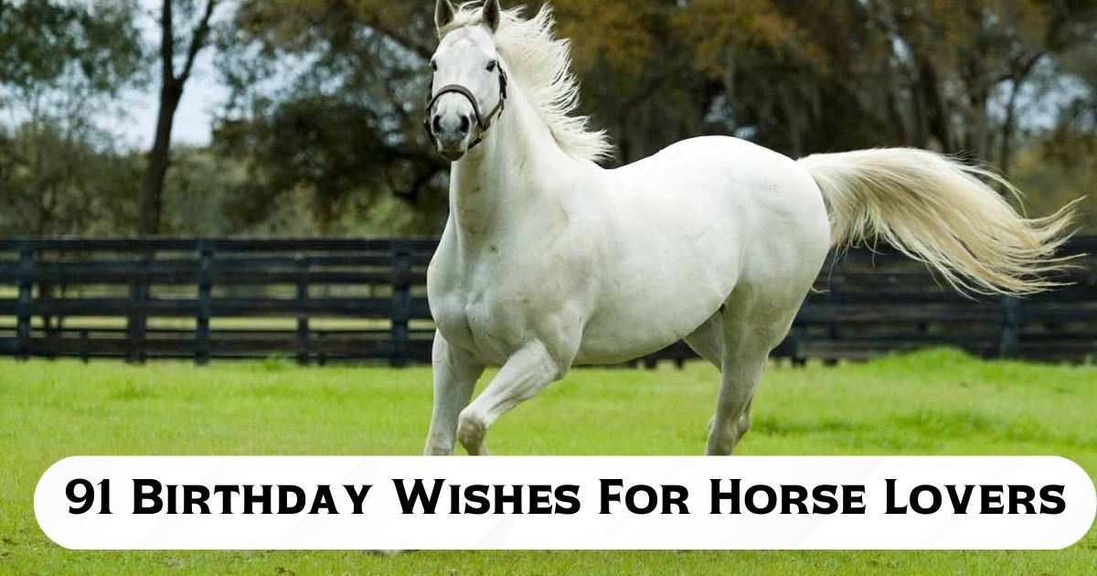 91 Birthday Wishes For Horse Lovers