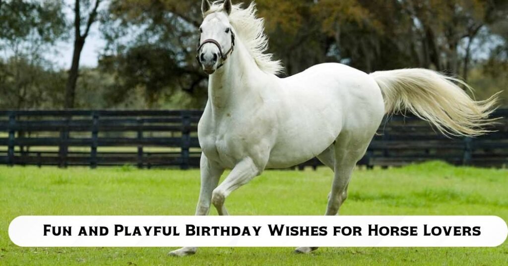Fun and Playful Birthday Wishes for Horse Lovers